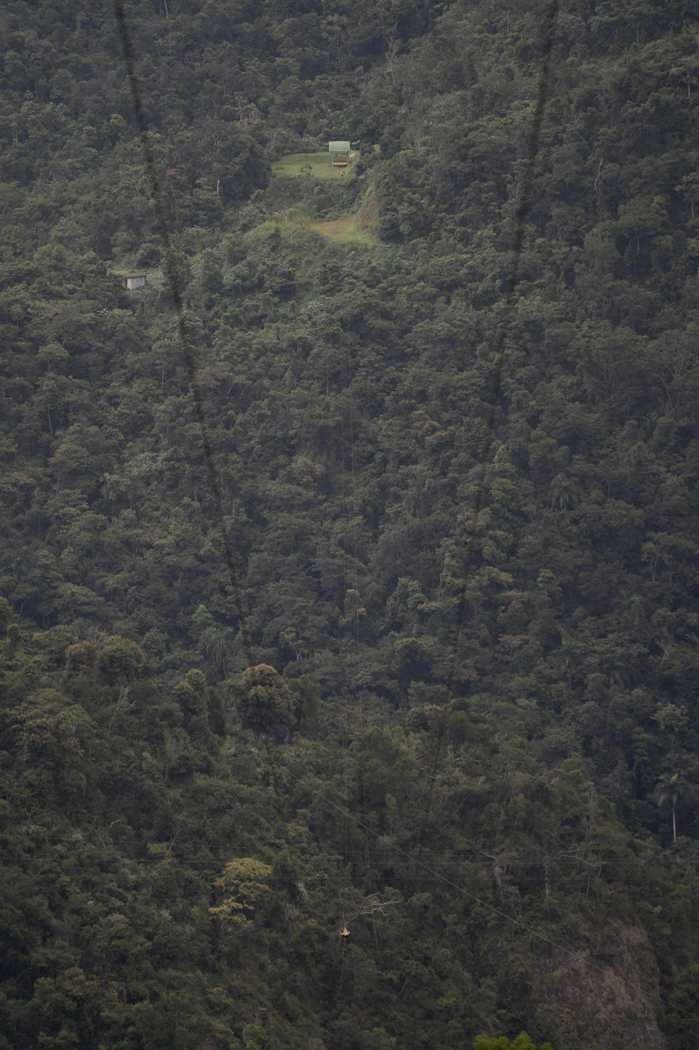 2020-12-28_Toro_Verde - foto 185