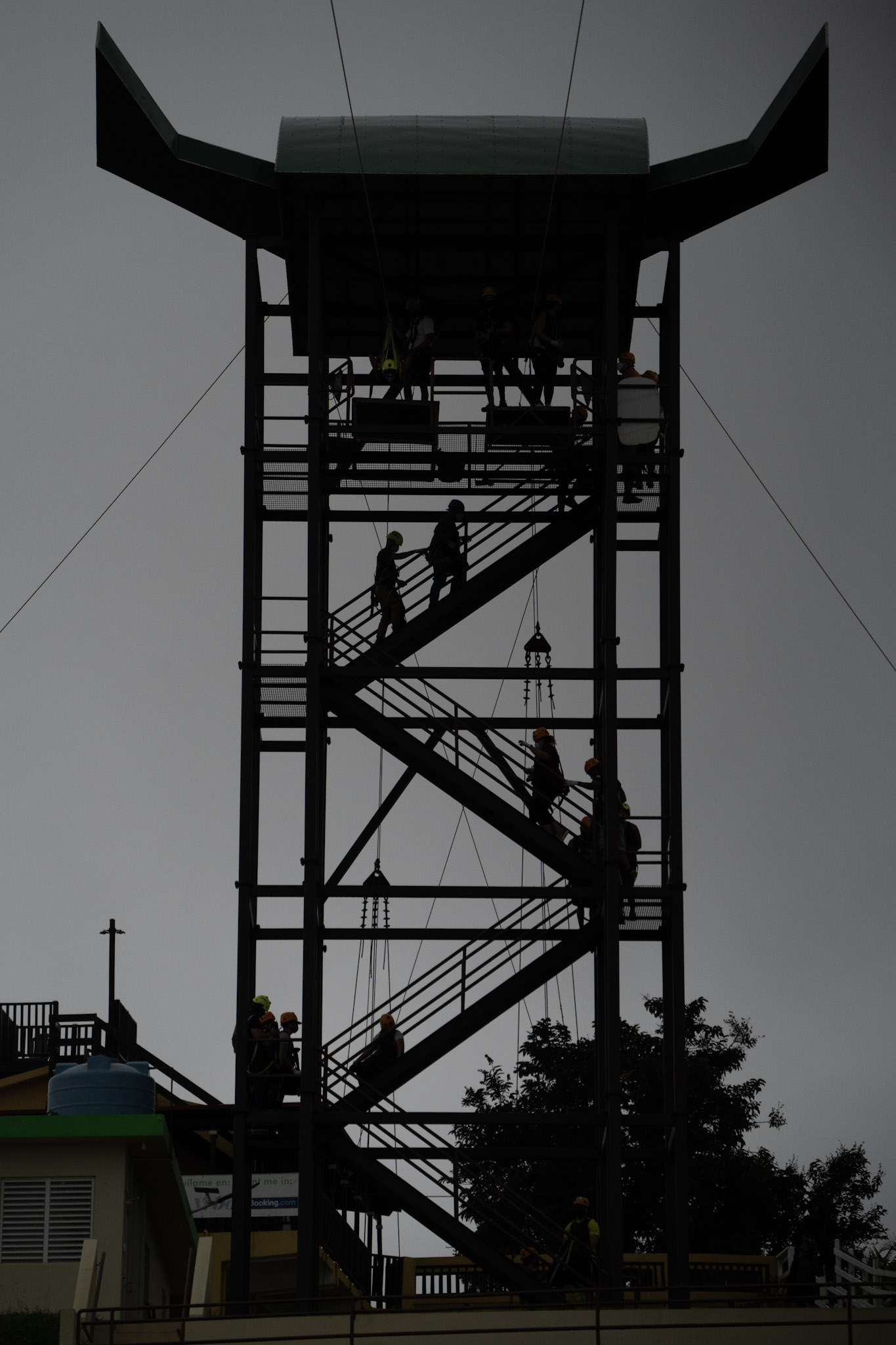 2020-12-28_Toro_Verde - foto 188