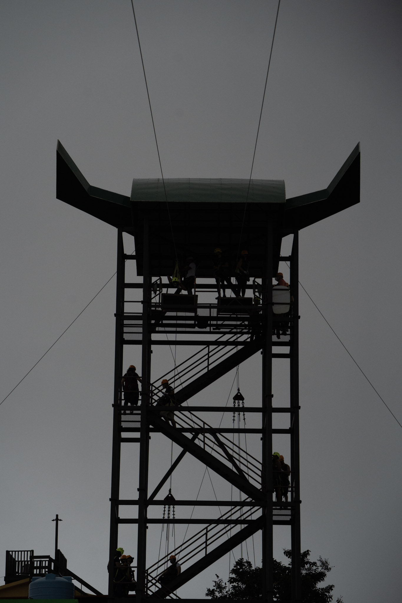 2020-12-28_Toro_Verde - foto 189