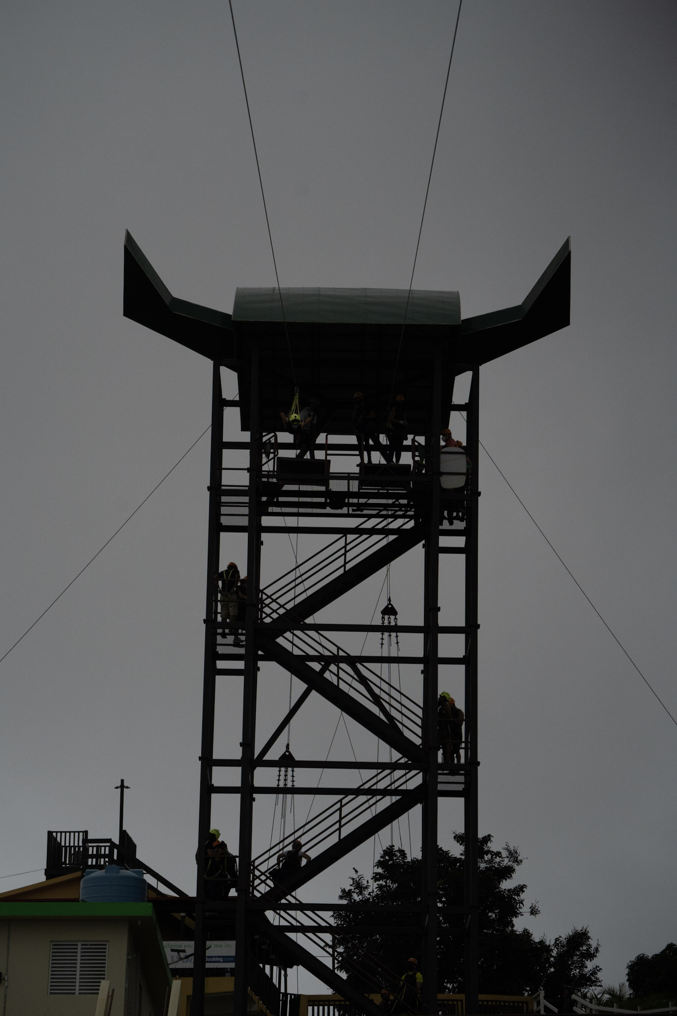 2020-12-28_Toro_Verde - foto 190