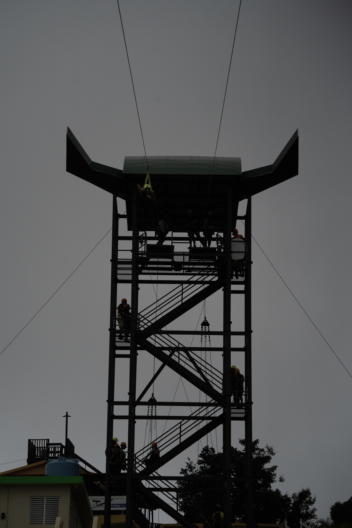 2020-12-28_Toro_Verde - foto 191