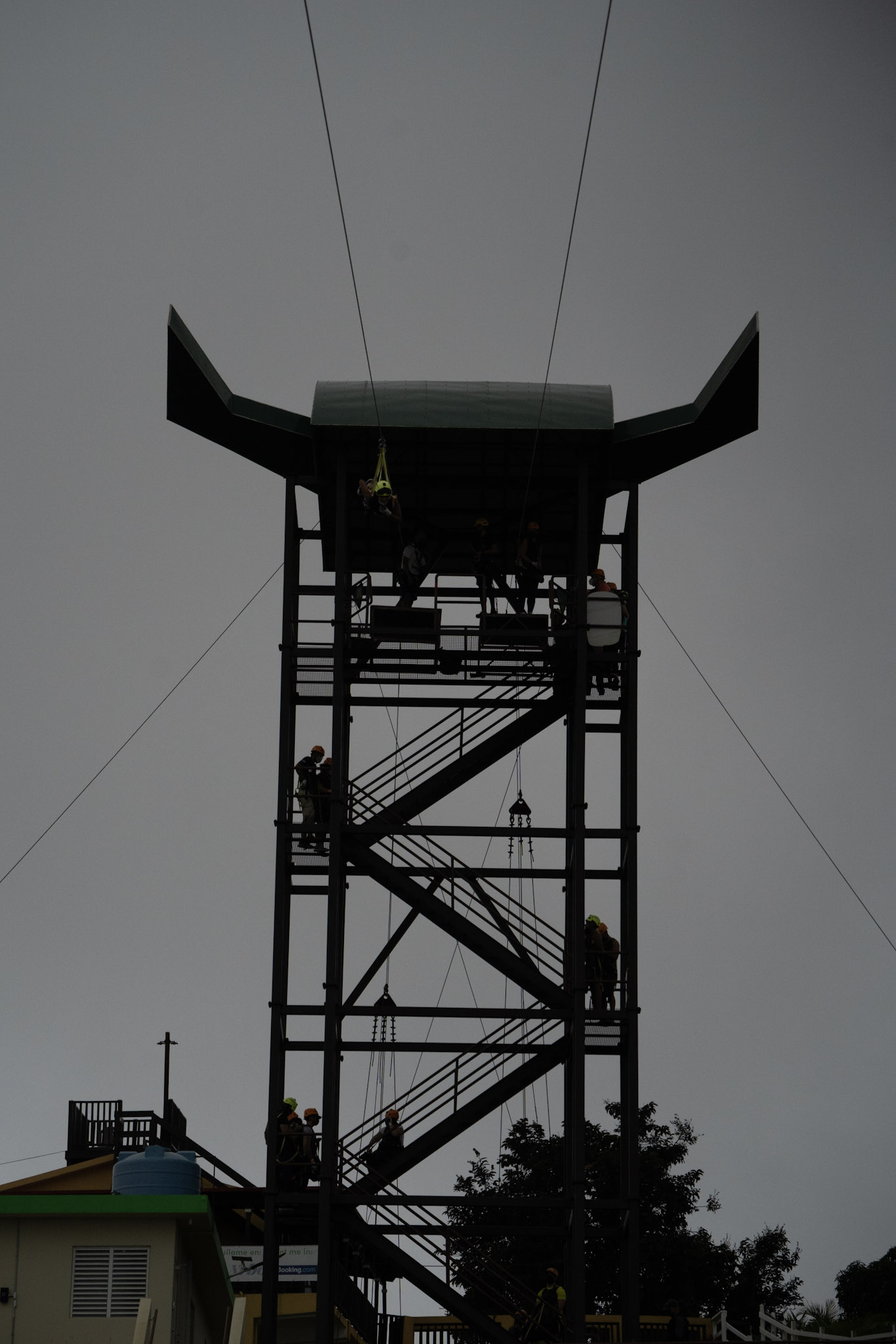 2020-12-28_Toro_Verde - foto 192