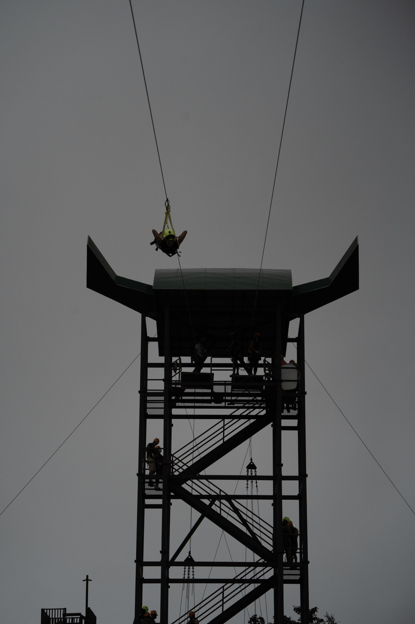 2020-12-28_Toro_Verde - foto 193