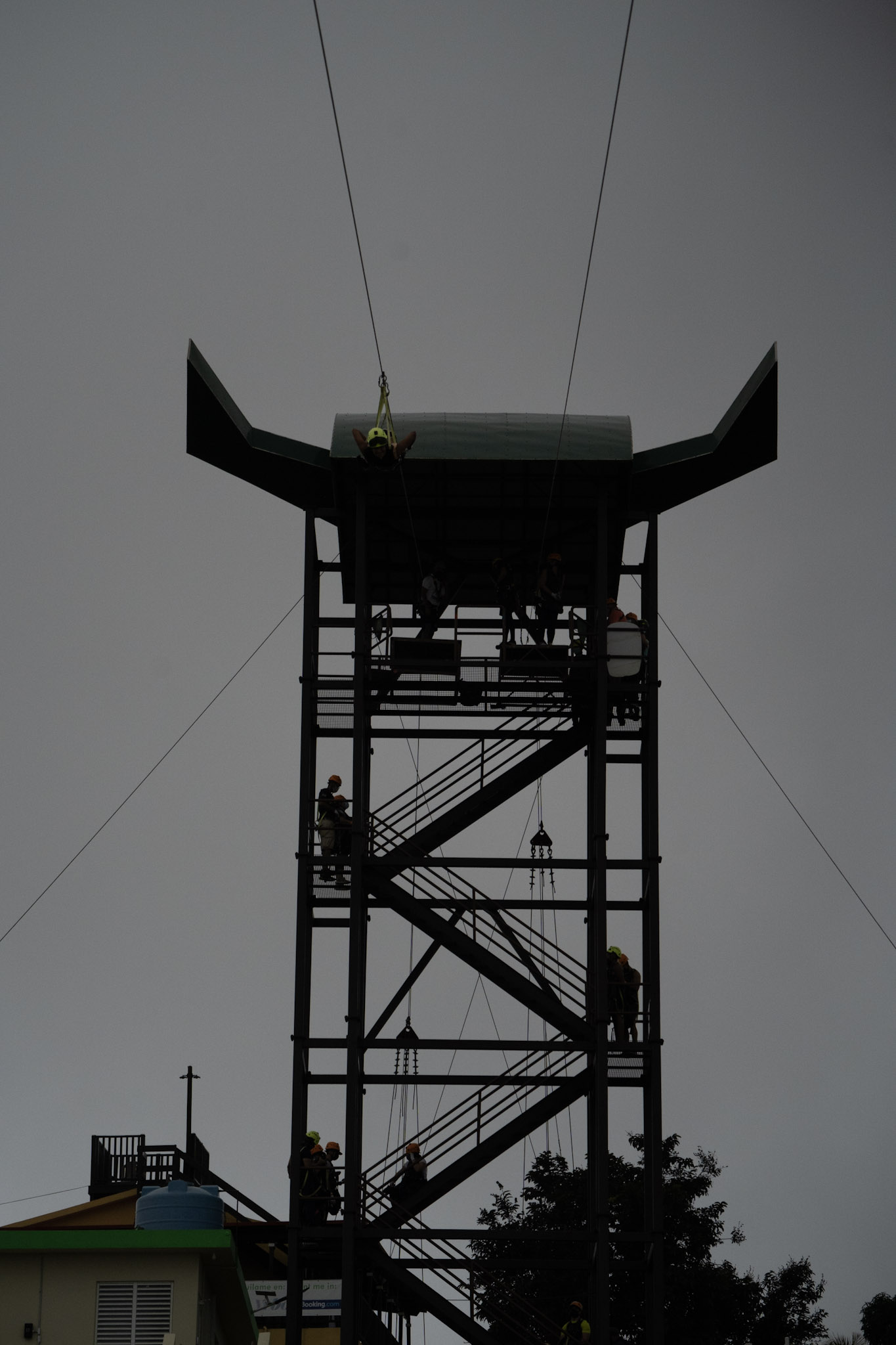 2020-12-28_Toro_Verde - foto 194