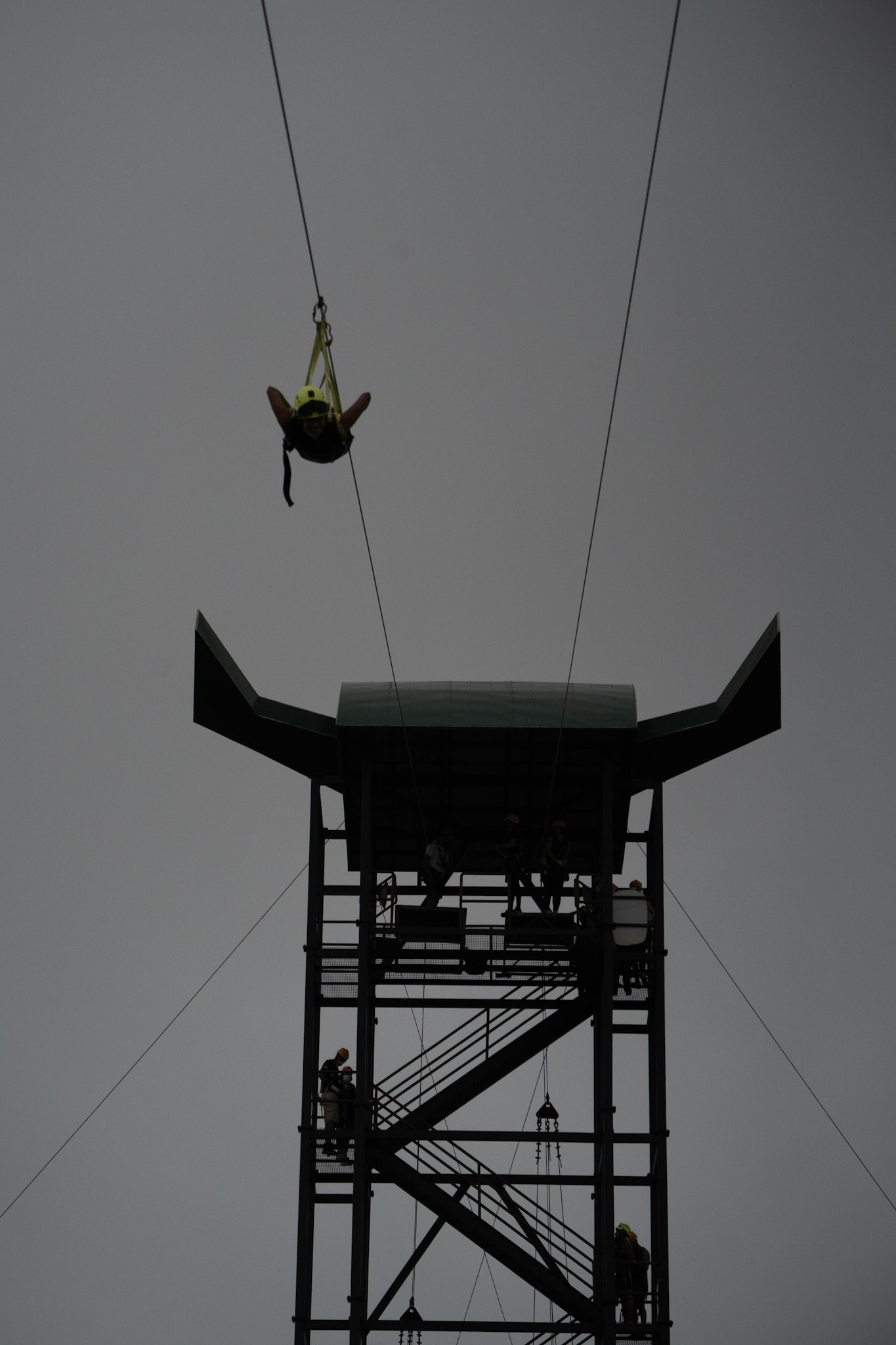 2020-12-28_Toro_Verde - foto 195