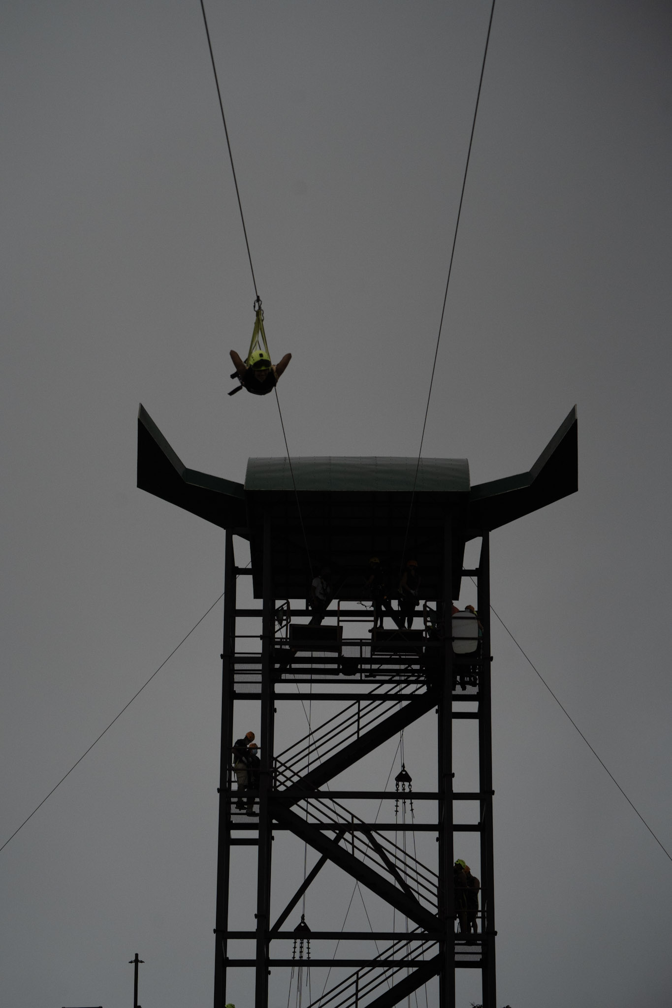 2020-12-28_Toro_Verde - foto 196