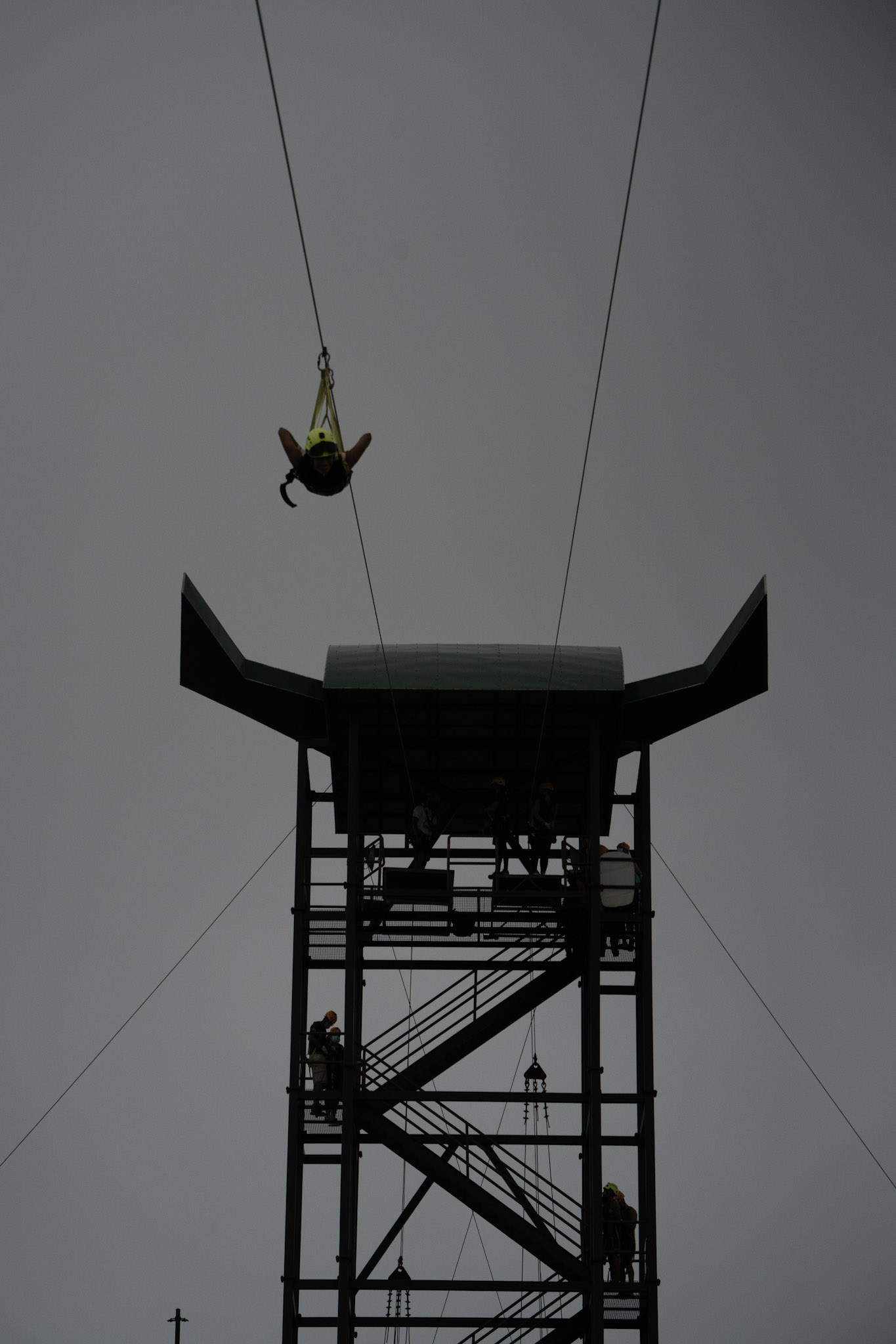 2020-12-28_Toro_Verde - foto 197