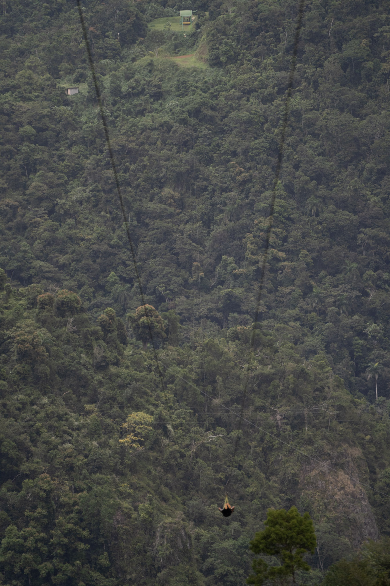 2020-12-28_Toro_Verde - foto 198