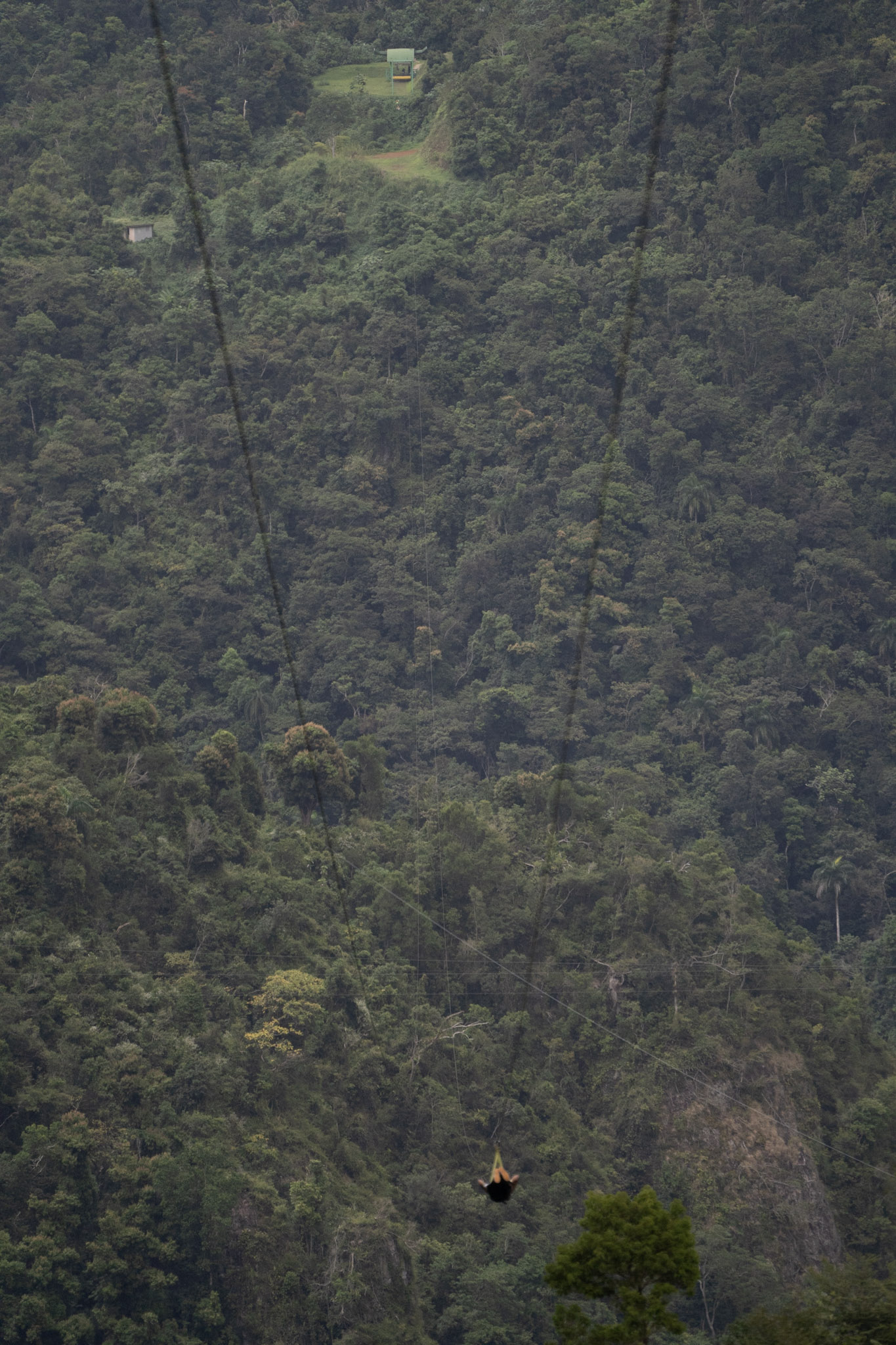 2020-12-28_Toro_Verde - foto 199