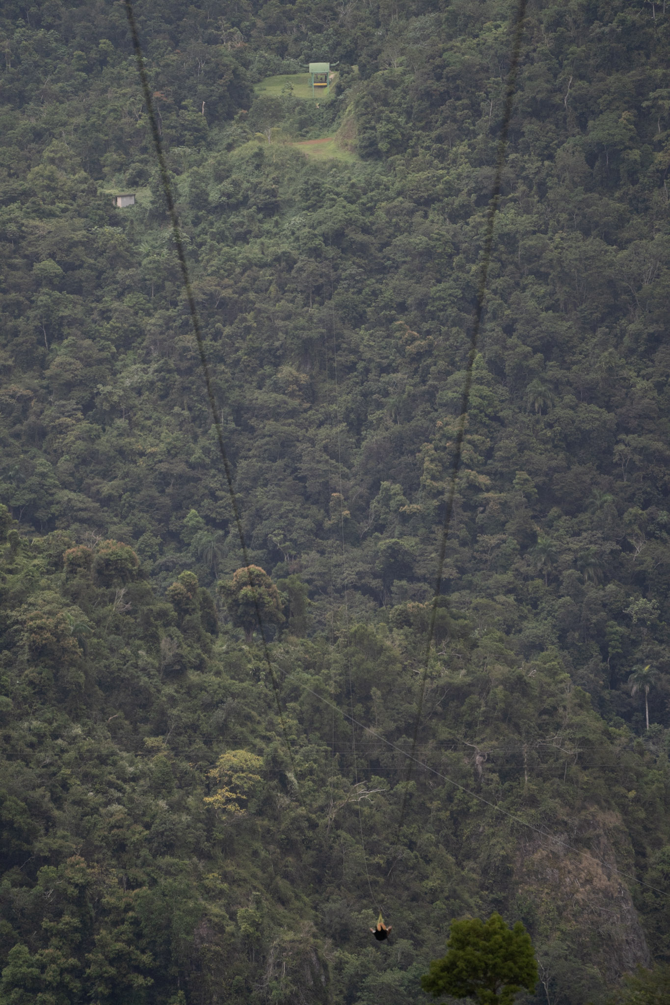 2020-12-28_Toro_Verde - foto 200