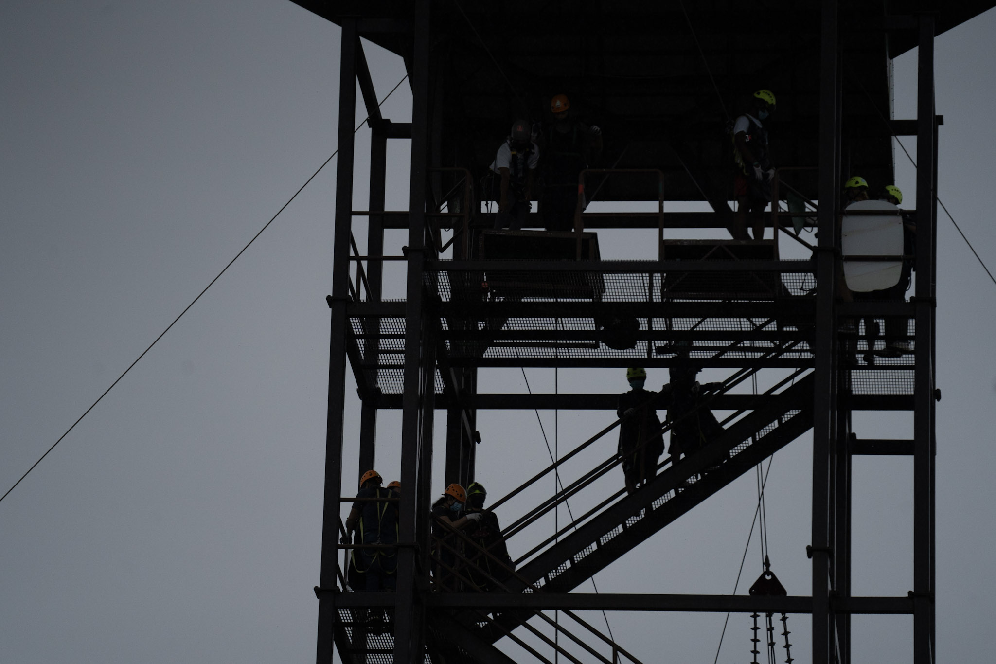 Toro Verde - foto 101