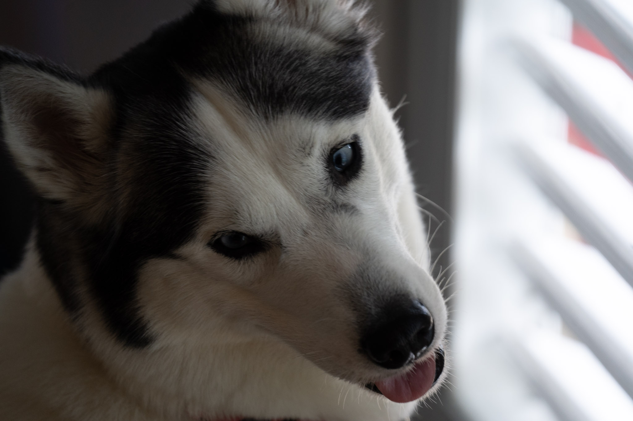 2021-01-01_Guaynabo - foto 55