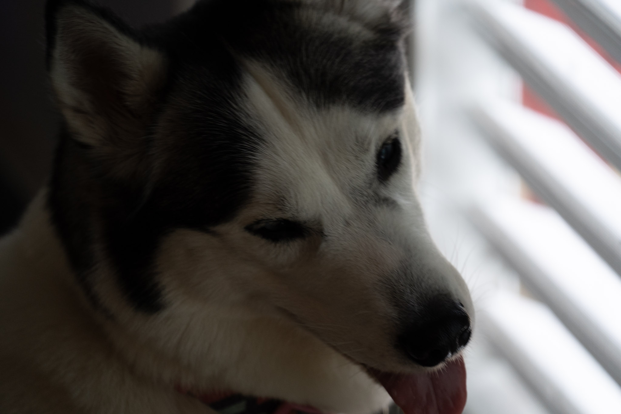 2021-01-01_Guaynabo - foto 56