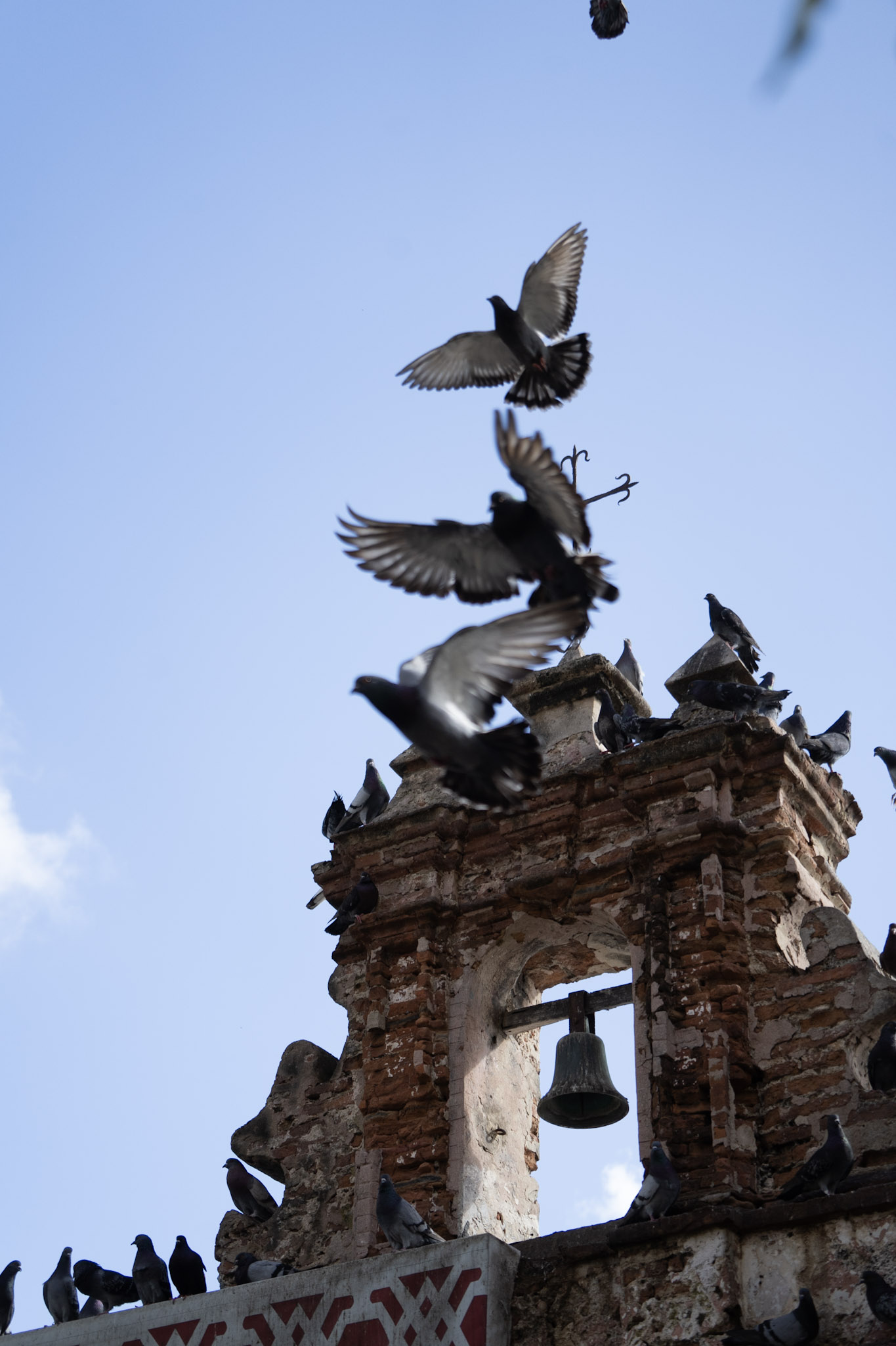 2021-01-01_San_Juan - foto 3