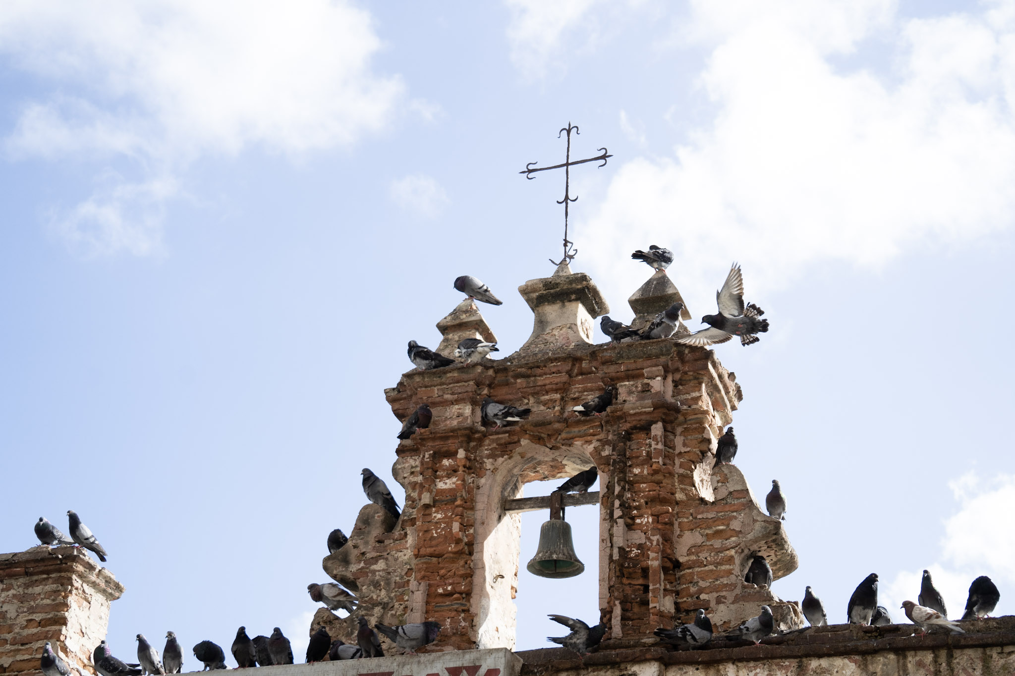 2021-01-01_San_Juan - foto 5