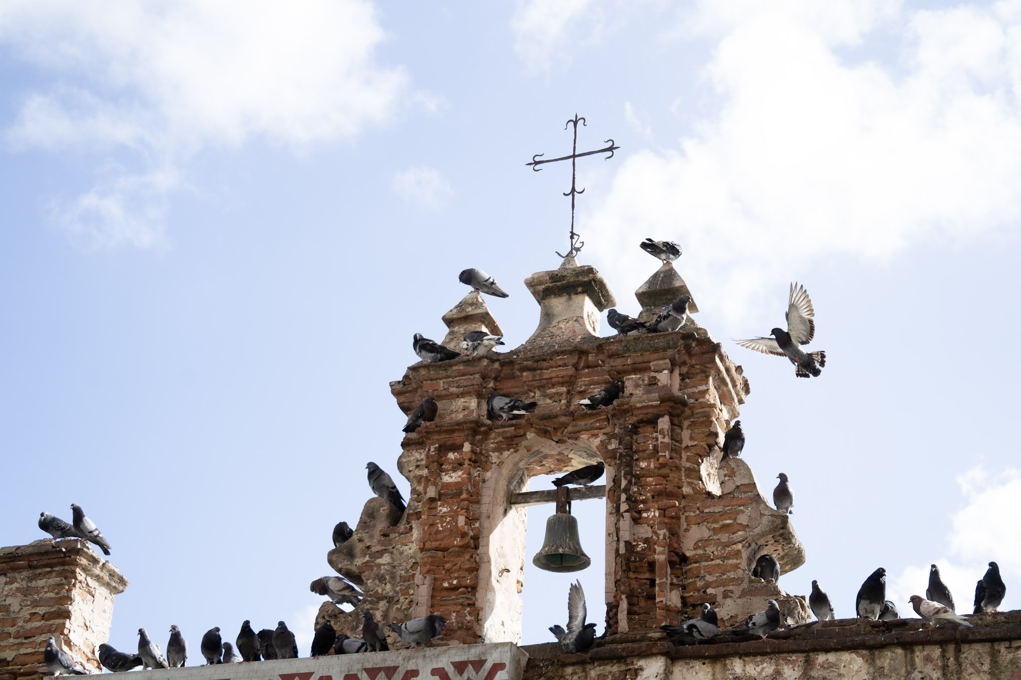 2021-01-01_San_Juan - foto 7