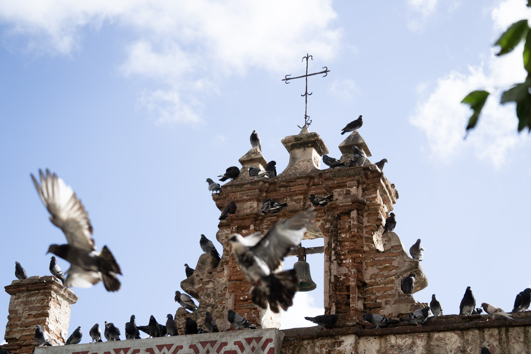 2021-01-01_San_Juan - foto 19