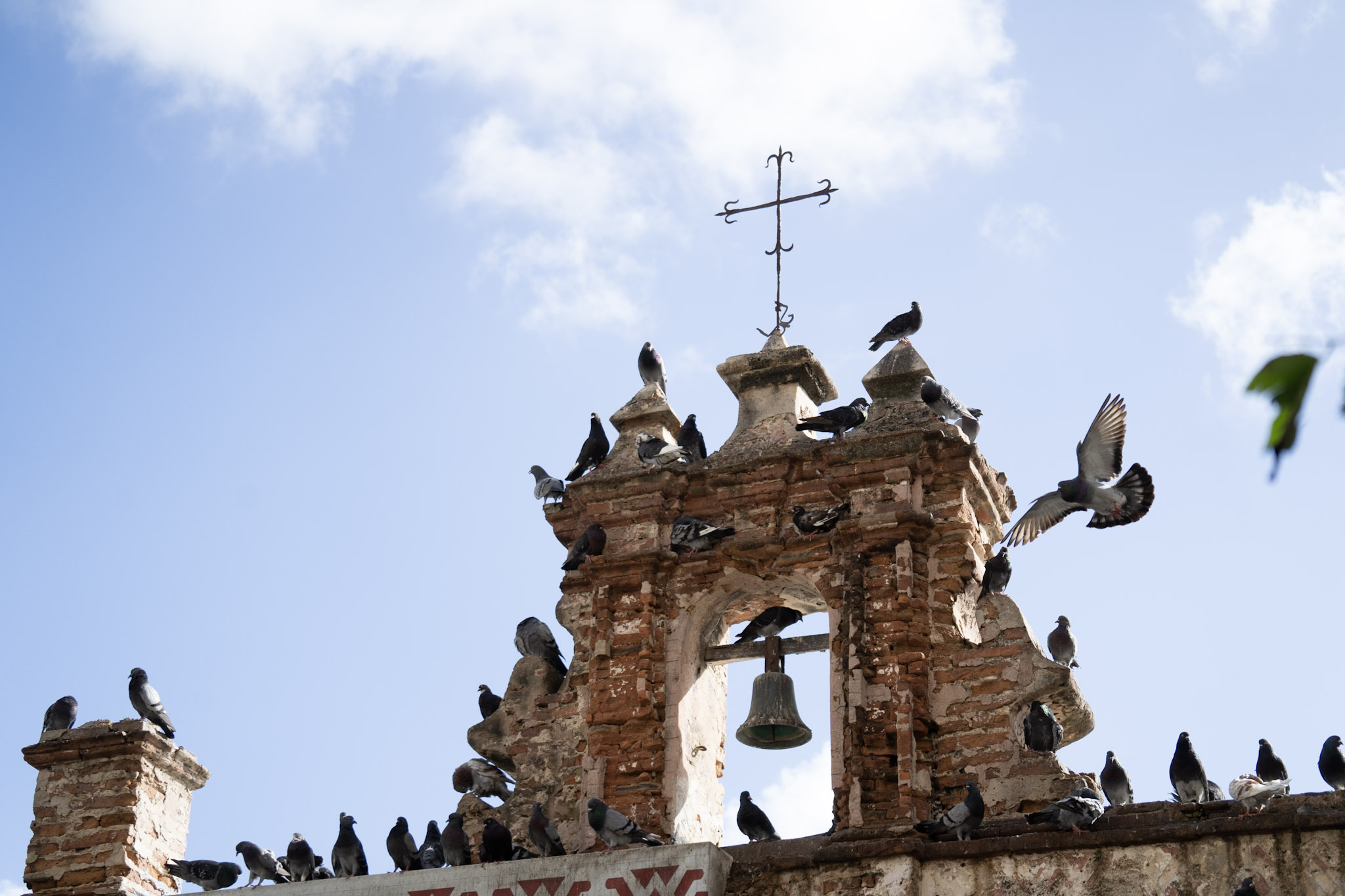 2021-01-01_San_Juan - foto 29