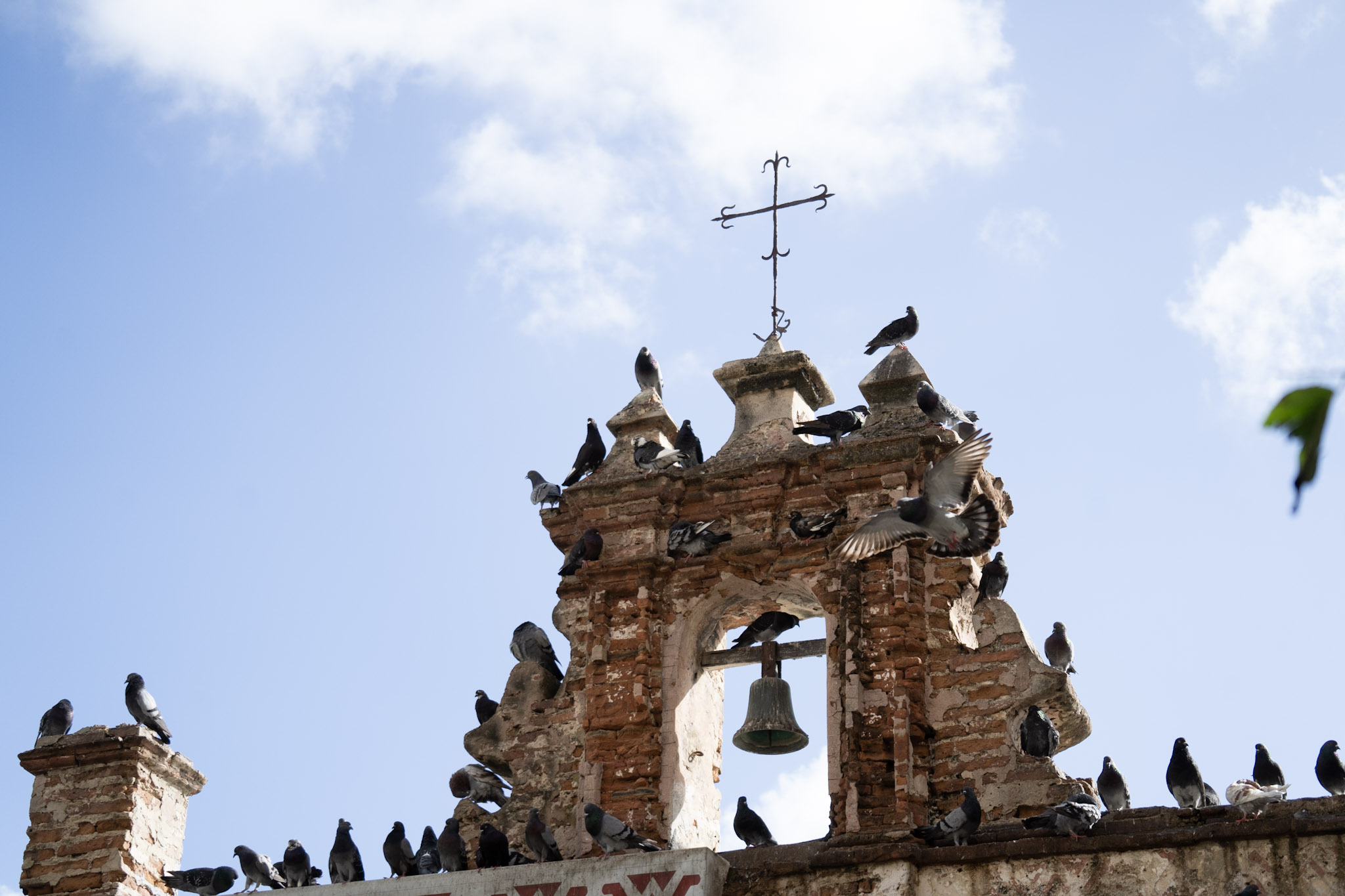 2021-01-01_San_Juan - foto 31