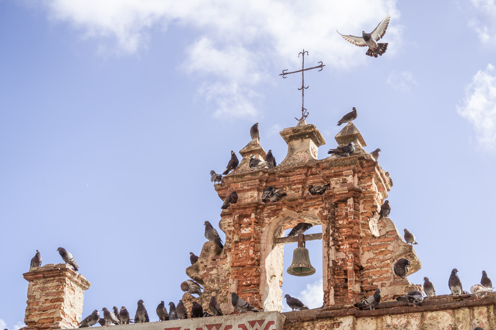 2021-01-01_San_Juan - foto 33