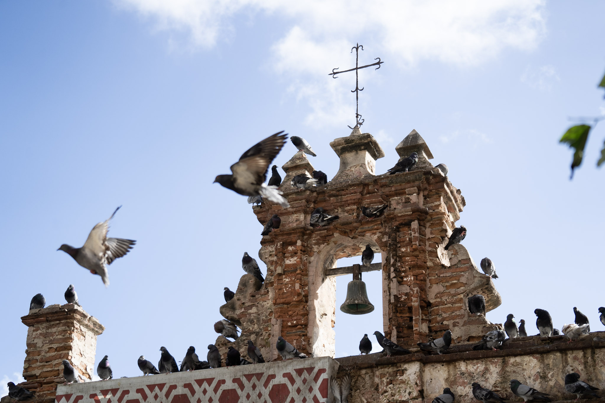 2021-01-01_San_Juan - foto 35