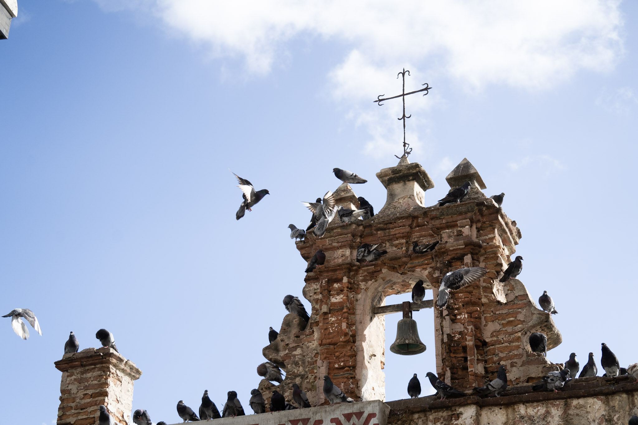 2021-01-01_San_Juan - foto 36