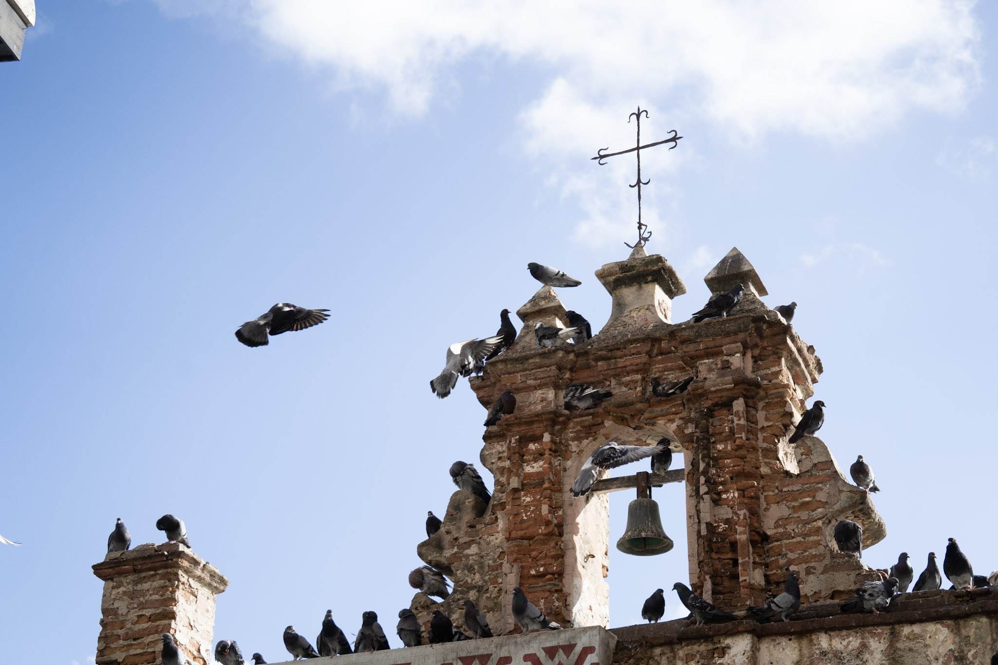 2021-01-01_San_Juan - foto 37