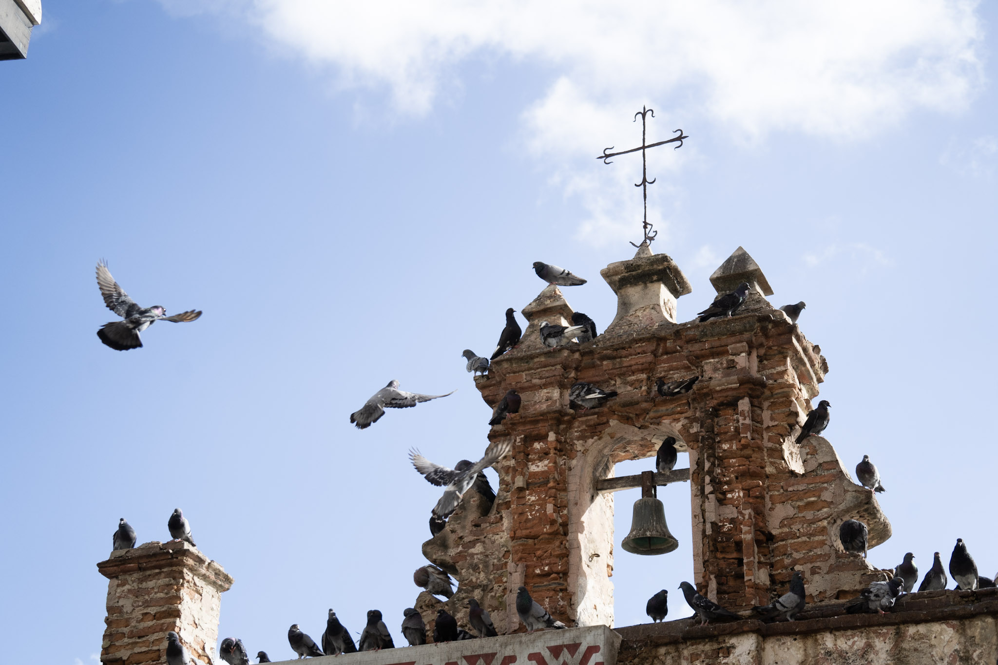 2021-01-01_San_Juan - foto 38