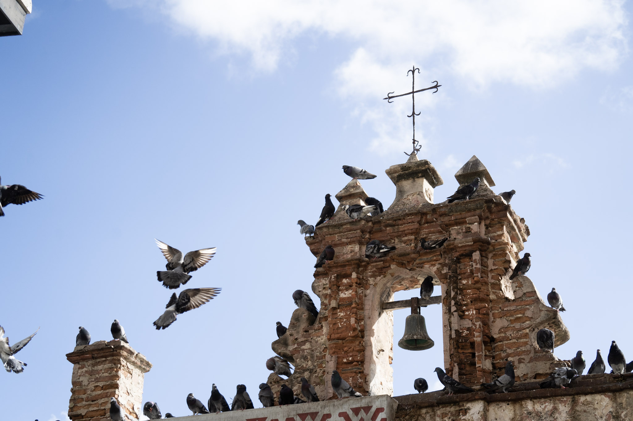 2021-01-01_San_Juan - foto 39