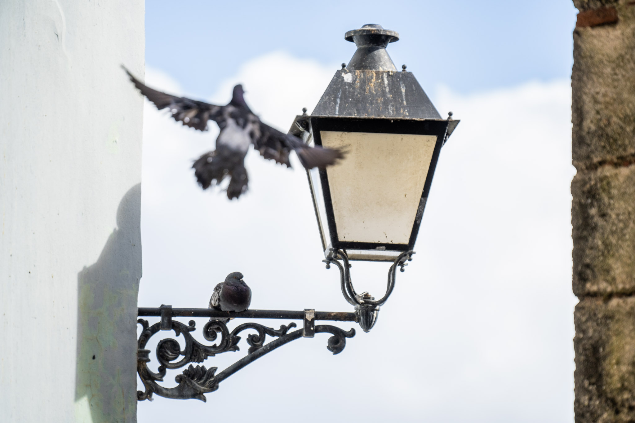 2021-01-01_San_Juan - foto 48