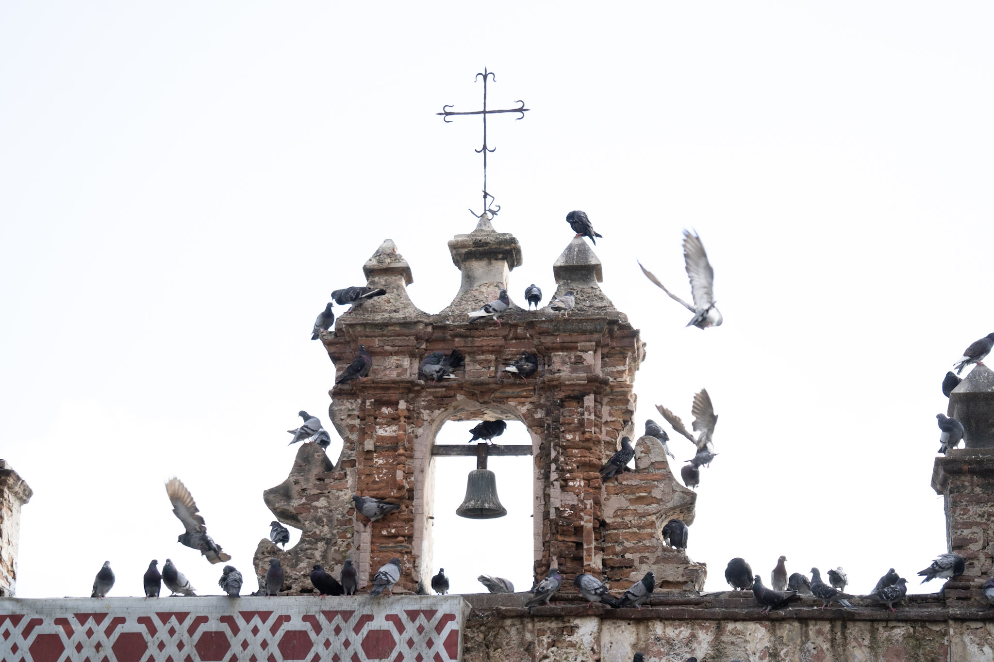 2021-01-01_San_Juan - foto 53