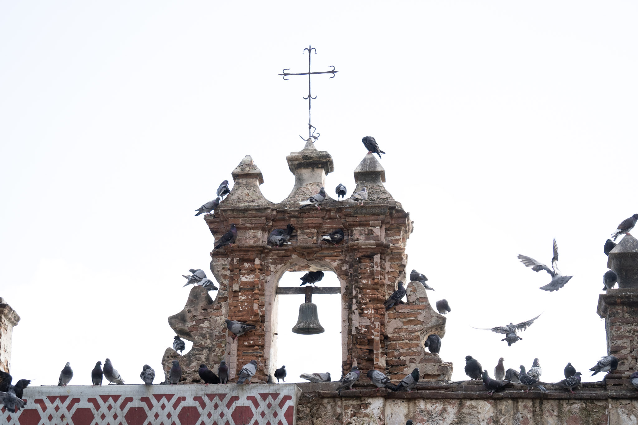 2021-01-01_San_Juan - foto 54