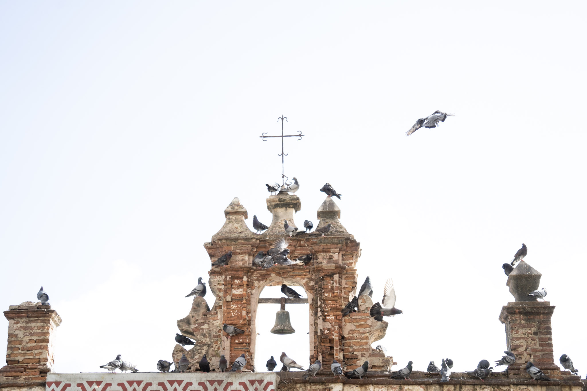 2021-01-01_San_Juan - foto 60