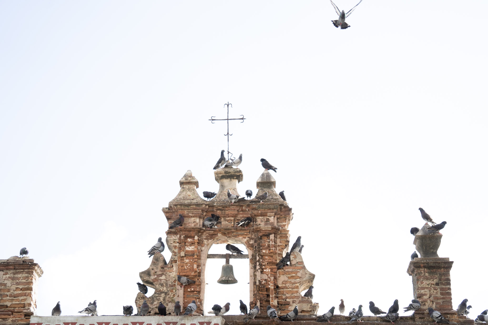 2021-01-01_San_Juan - foto 63