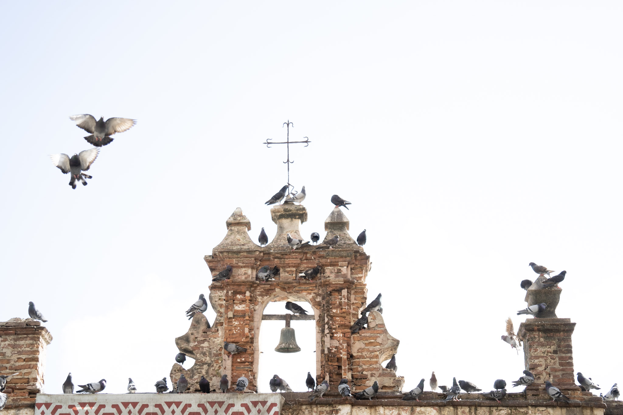 2021-01-01_San_Juan - foto 67