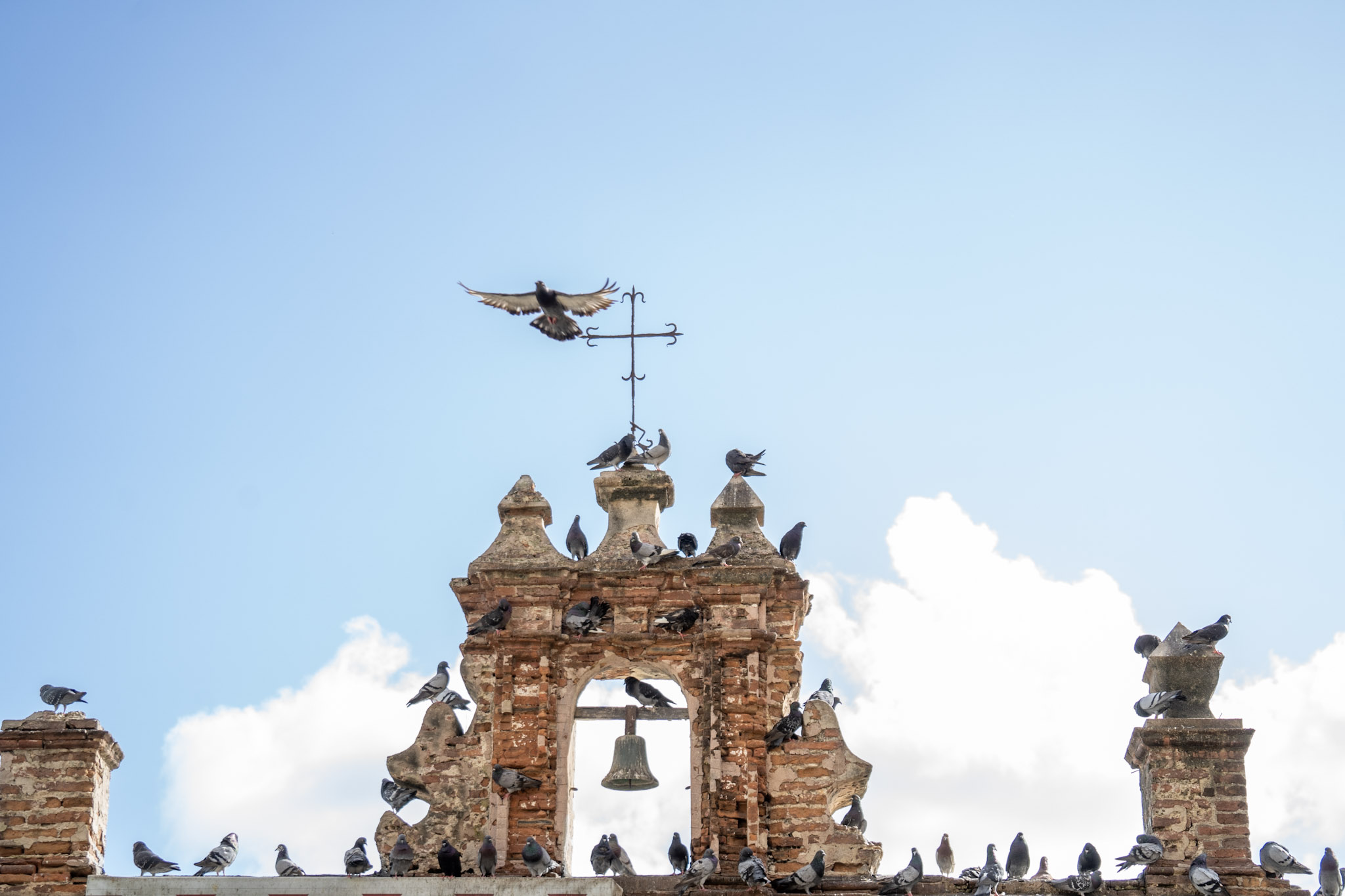 2021-01-01_San_Juan - foto 68