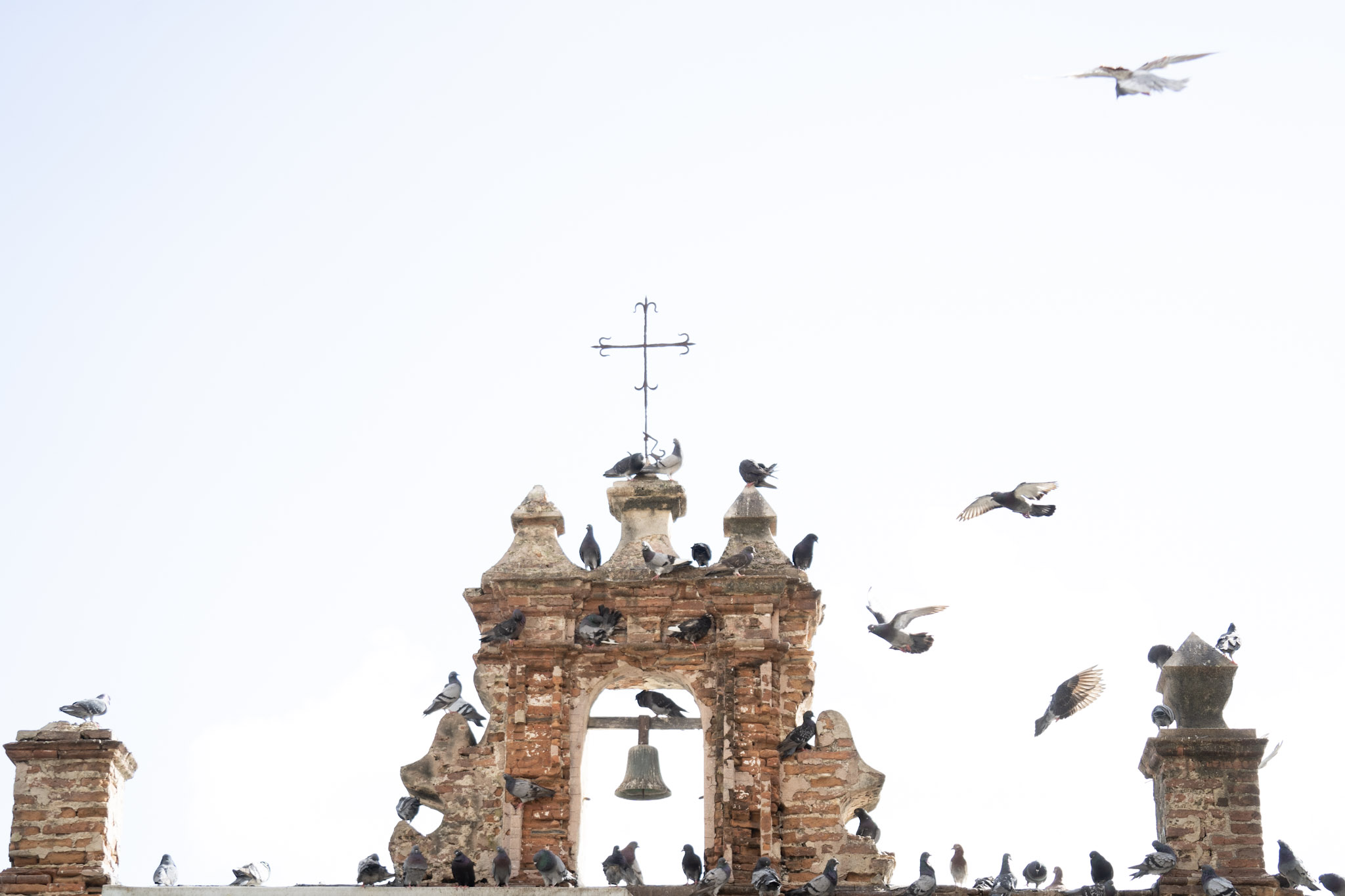 2021-01-01_San_Juan - foto 69