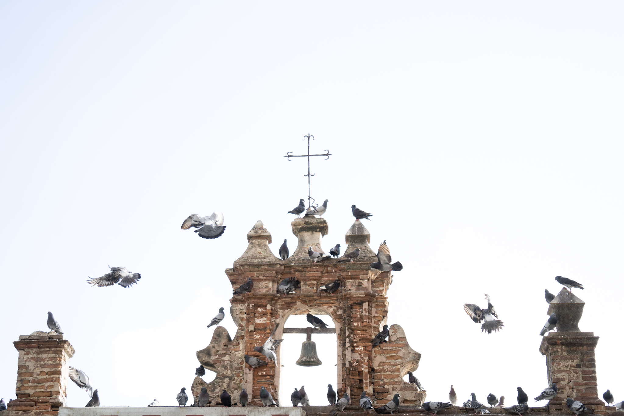 2021-01-01_San_Juan - foto 70