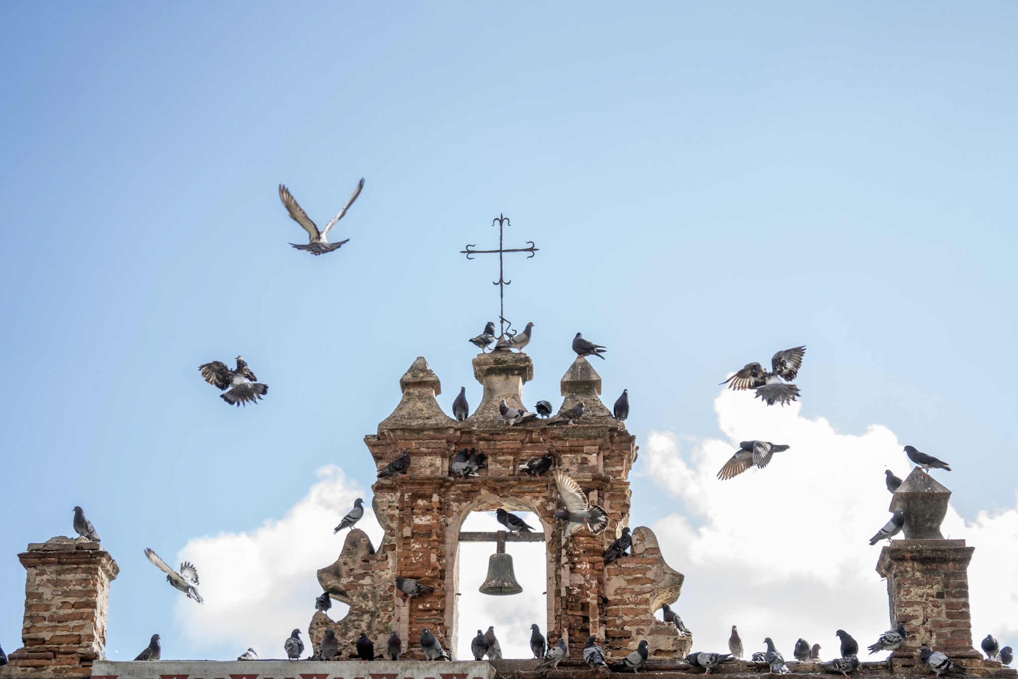 2021-01-01_San_Juan - foto 71