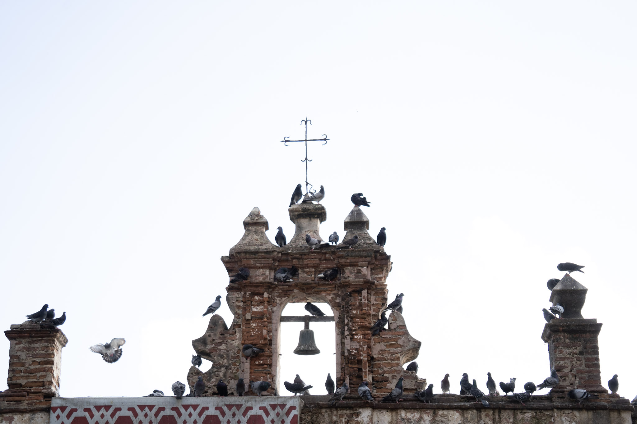 2021-01-01_San_Juan - foto 73