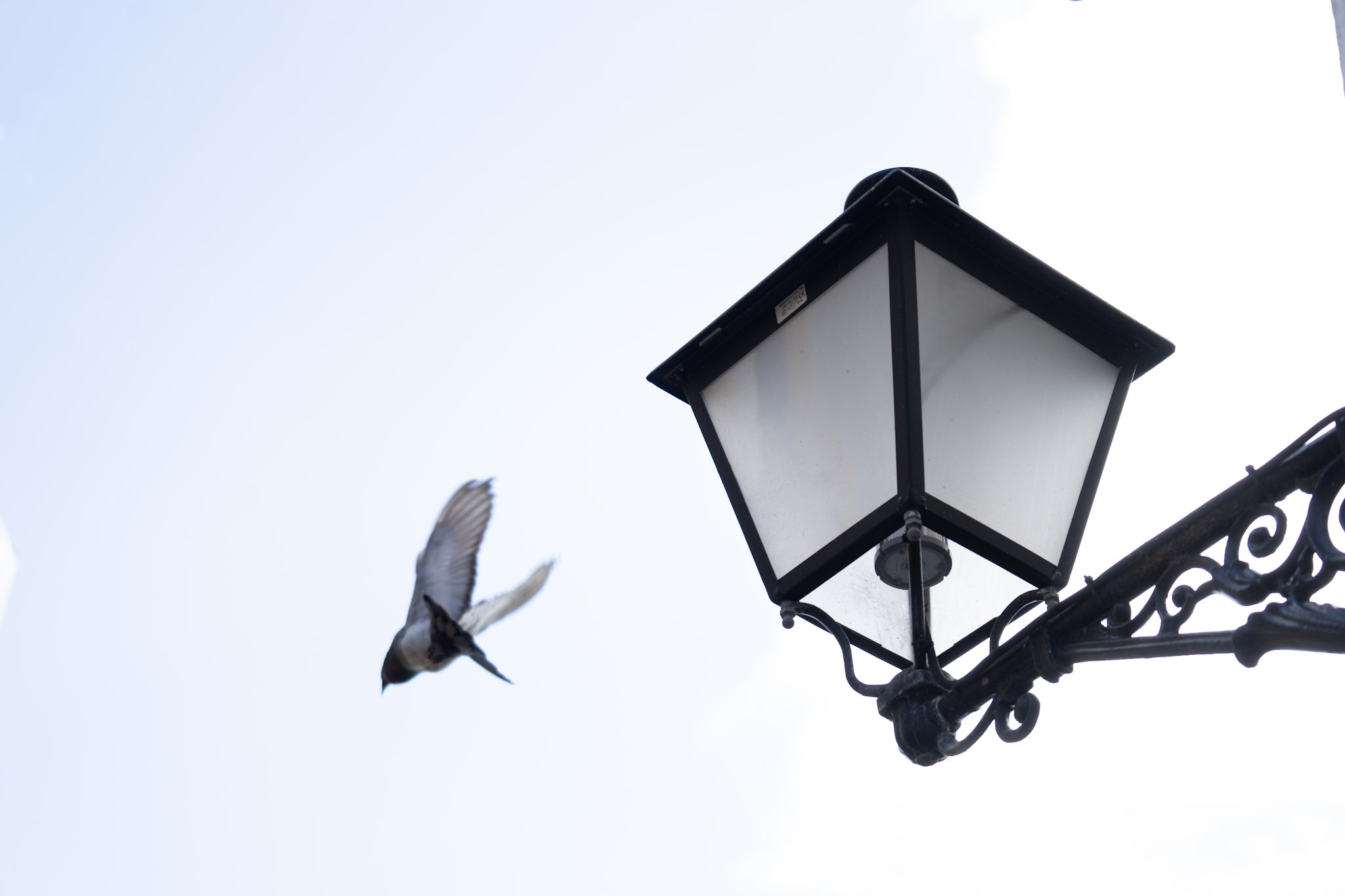 2021-01-01_San_Juan - foto 74