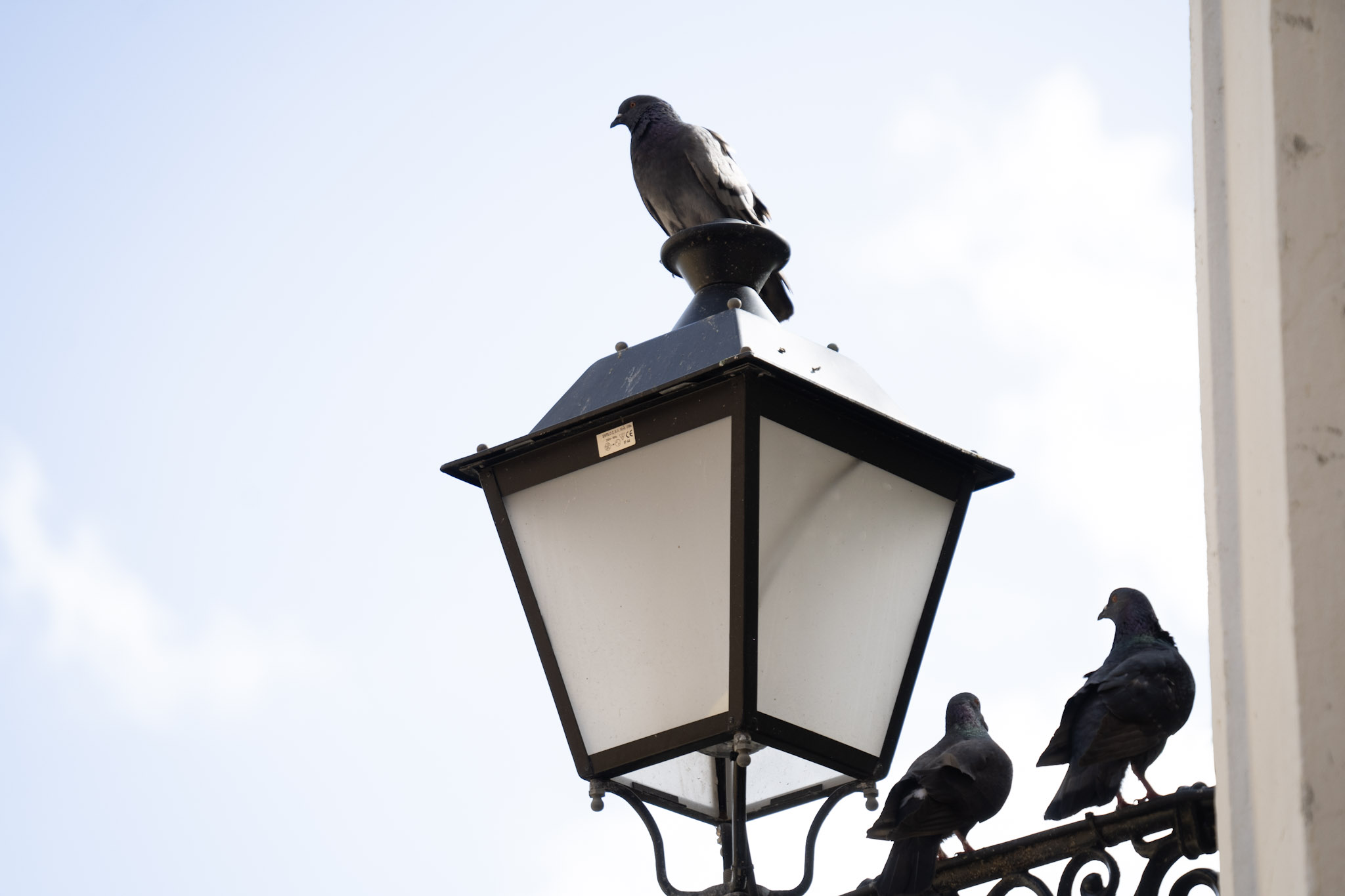 2021-01-01_San_Juan - foto 75