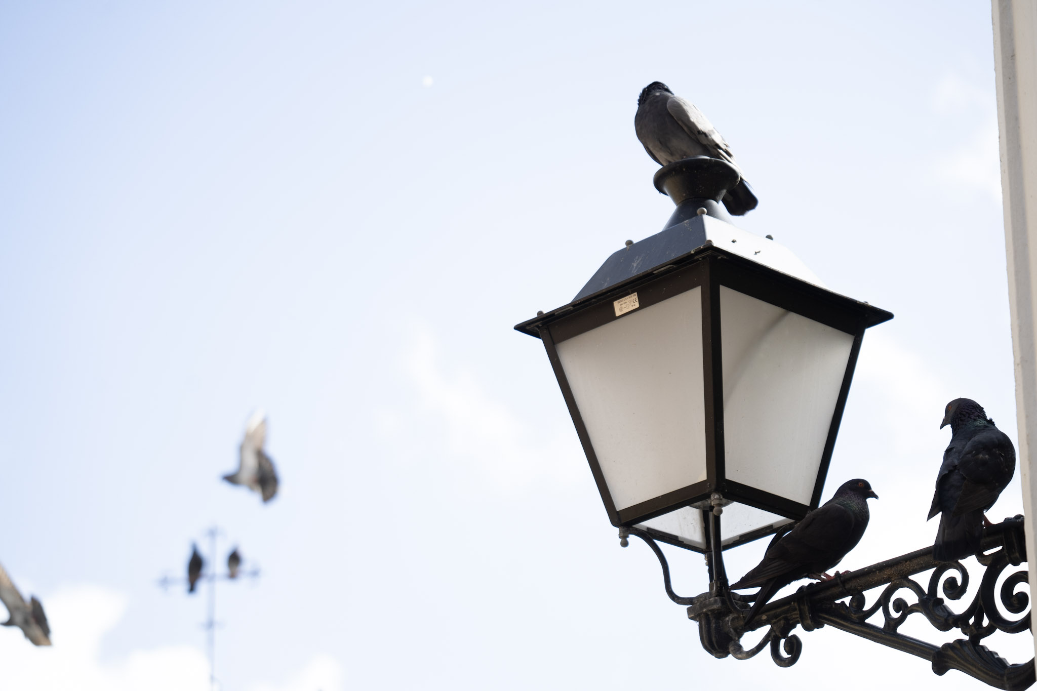 2021-01-01_San_Juan - foto 77