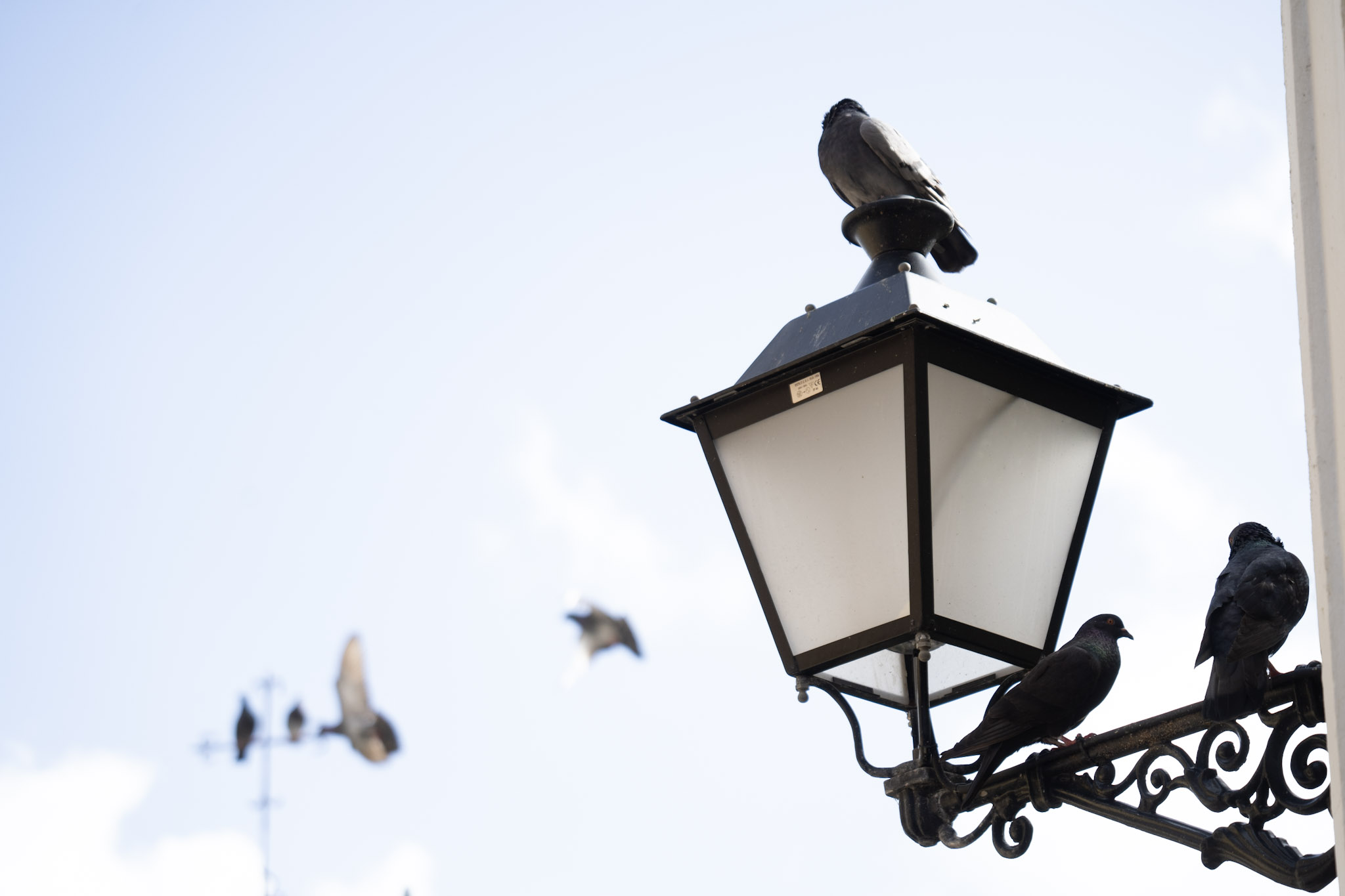 2021-01-01_San_Juan - foto 78