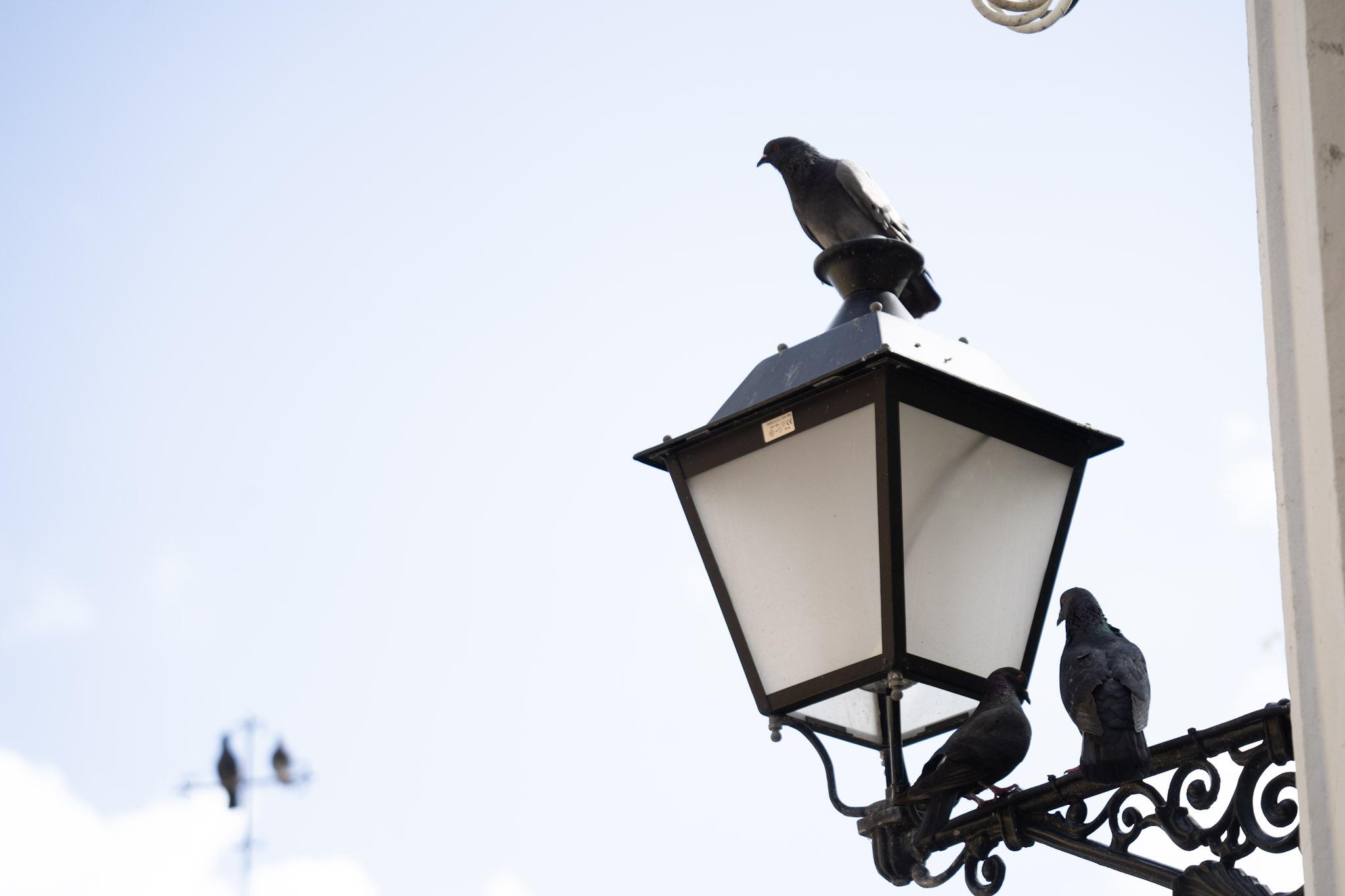 2021-01-01_San_Juan - foto 79