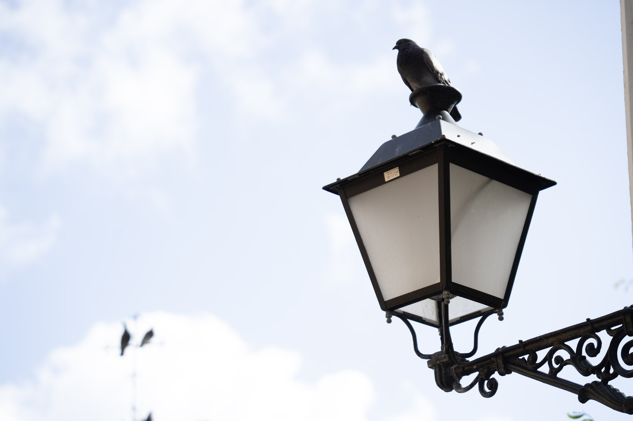 2021-01-01_San_Juan - foto 80