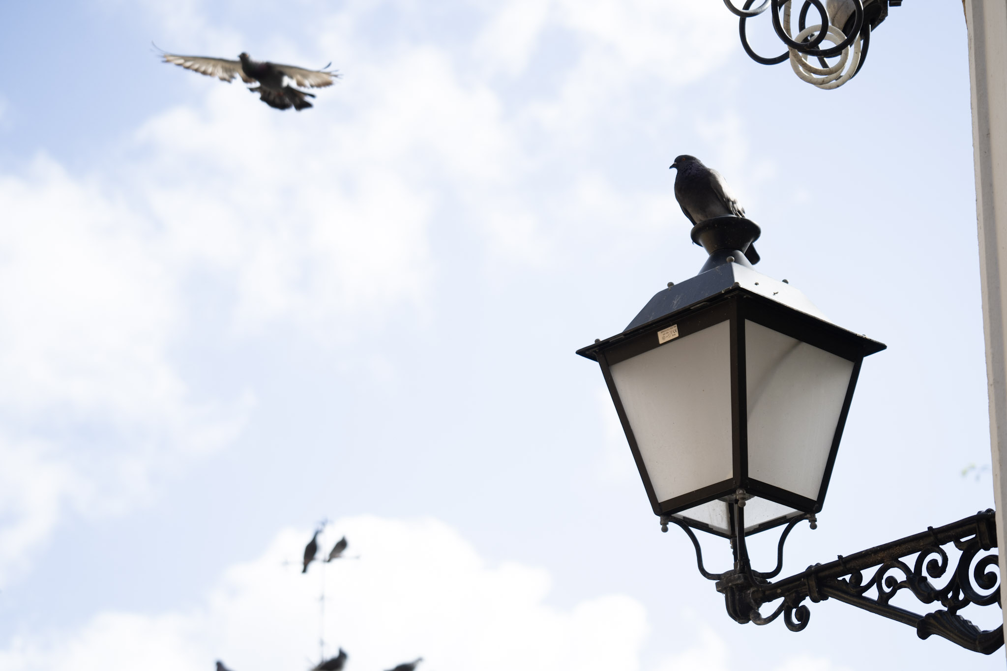 2021-01-01_San_Juan - foto 81