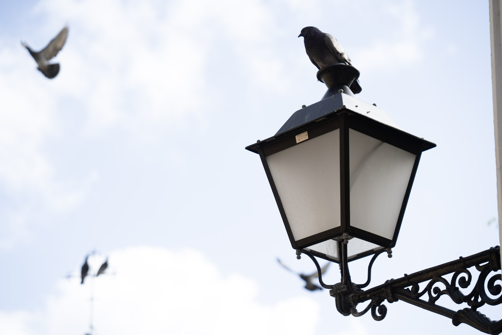 2021-01-01_San_Juan - foto 82