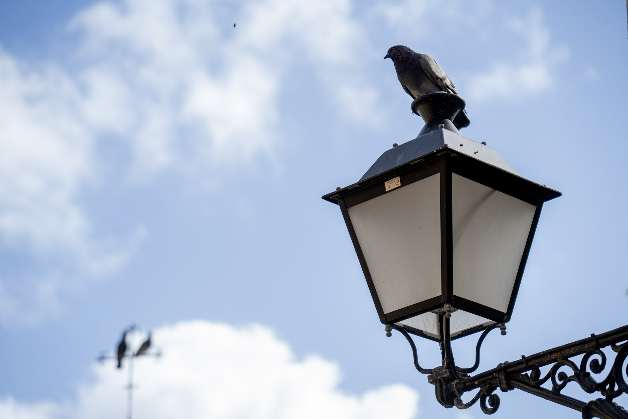 2021-01-01_San_Juan - foto 83