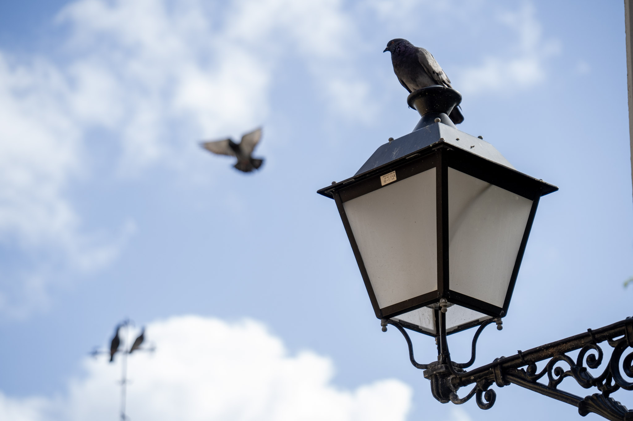 2021-01-01_San_Juan - foto 84